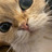 Selim_Edelbiev